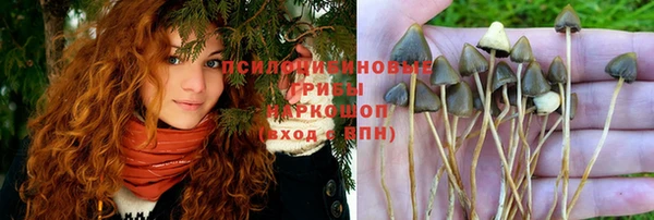 прущая мука Майский