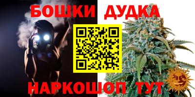 крисы Беслан