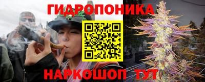 альфа пвп Берёзовский