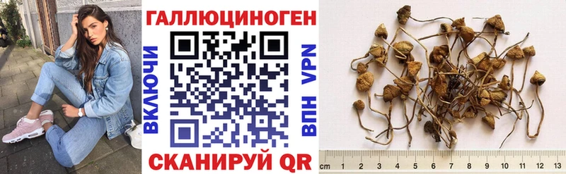 сколько стоит Туймазы Псилоцибиновые грибы Psilocybine cubensis