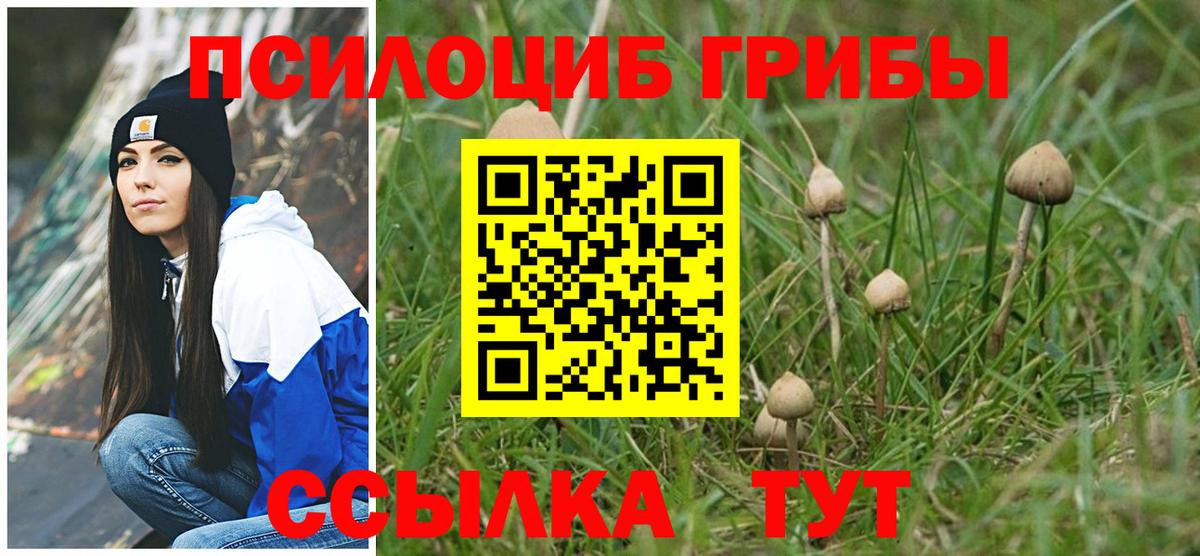Галлюциногенные грибы Magic Shrooms  даркнет сайт  Вход с VPN  Туймазы  Галлюциногенные грибы Cubensis 